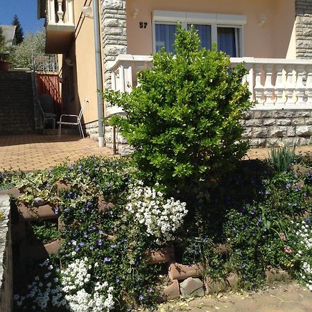 Alom Haz Apartment Zalakaros Bagian luar foto